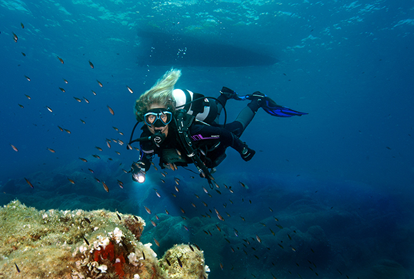 diving palau