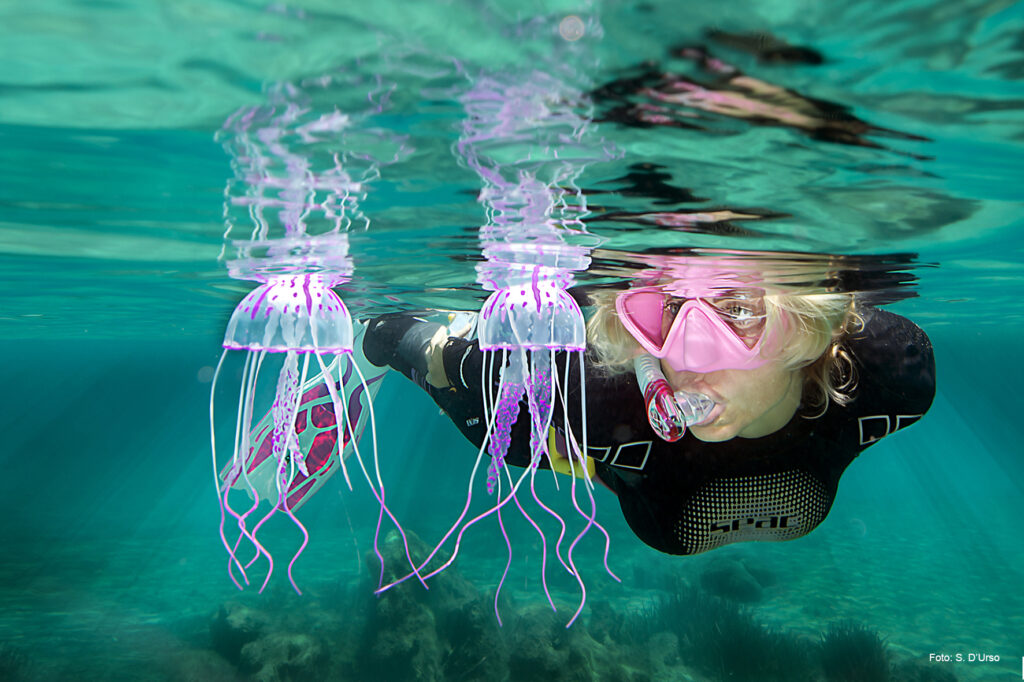 snorkeling a la maddalena e spargi