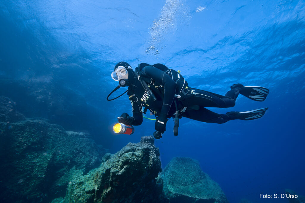 dive in sardegna